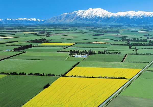Heartland rural New Zealand � proving a temptation to British horticultural and agricultural investors